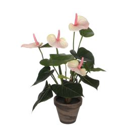 Anthurium Pink Faux Flower in Pot