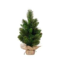 Illinois Spruce Christmas Tree 60 cm