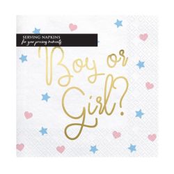 Boy or Girl Napkins 20 Piece