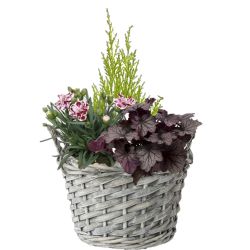 Large Garden Basket 22cm