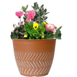Keke Planter 20cm