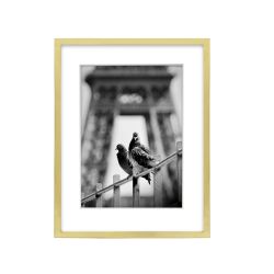 Gold Stainless Steel Box Frame 7x9 matted to 5x7