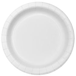 White Paper Plates 26cm 10 Pack
