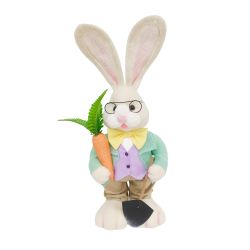 Boy Rabbit With Carrot