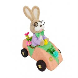 Rabbit Driving Car