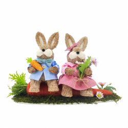 Rabbit Couple