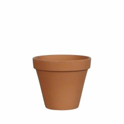 Antique Round 13.5cm Terracotta Plant Pot