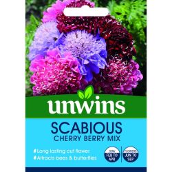 Scabiosa Cherry Berry Mix