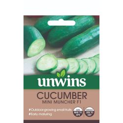 Cucumber Mini Muncher F1