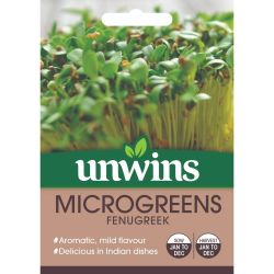 Microgreens Fenugreek