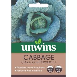 Savoy Cabbage Supervoy F1