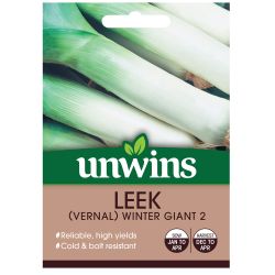 Vernal Leek Winter Giant 2