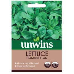 Lettuce Leaves Lamb's Elan