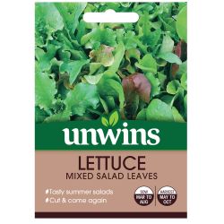 Lettuce Mixed Salad Leaves
