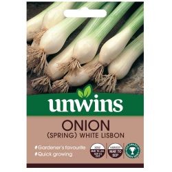 Onion Spring White Lisbon