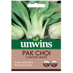 Pak Choi Canton White