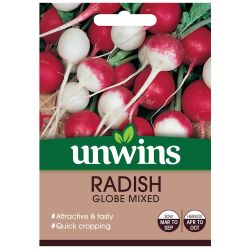 Radish Globe Mixed