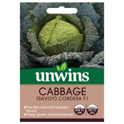 Savoy Cabbage Cordesa F1