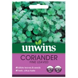 Herb Coriander Fine Leaved