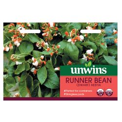 Dwarf Runner Bean Hestia