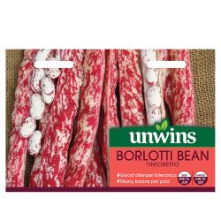Borlotti Bean Tintoretto
