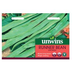 Runner Bean Enorma
