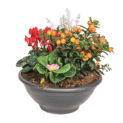 Large Planted Container