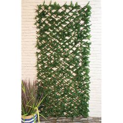 Birch Leaf Trellis Medium H180Cm X W60Cm