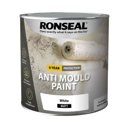 Ronseal 2.5L 6 Year Anti Mould Paint White Matt