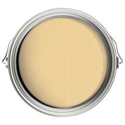Fleetwood 250ml Weather Clad Buttermilk