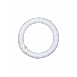 Osram 40W G10Q T9 Circular Fluorescent Cool White Bulb