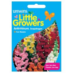 Little Growers Antirrhinum Snapdragon