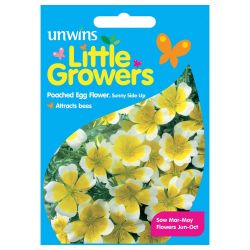 Little Growers Poached Egg Flower Sunnyside