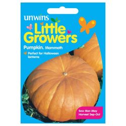 Little Growers Pumpkin Mammoth