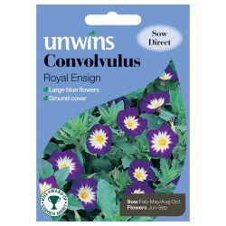 Convolvulus Royal Ensign