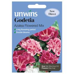Godetia Azalea Flowered Mix