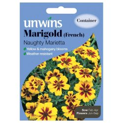 Marigold French Naughty Marietta