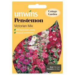 Penstemon Victorian Mix