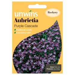 Aubrietia Purple Cascade