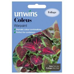 Coleus Warpaint