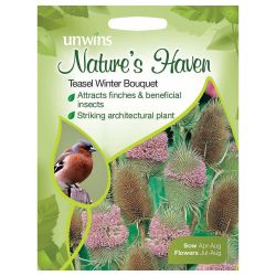 NH Teasel Winter Bouquet