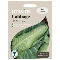Cabbage Primo