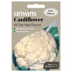 Cauliflower All The Year Round