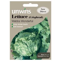 Crisphead Lettuce Webbs Wonderful