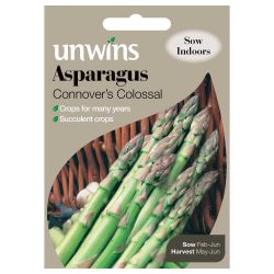Asparagus Connover's Colossal