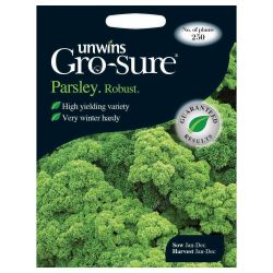 Herb Parsley Robust