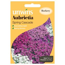 Aubrietia Spring Cascade