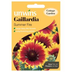 Gaillardia Summer Fire