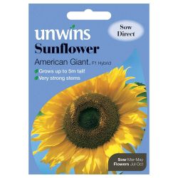 Sunflower American Giant F1