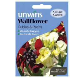 Wallflower Rubies And Pearls